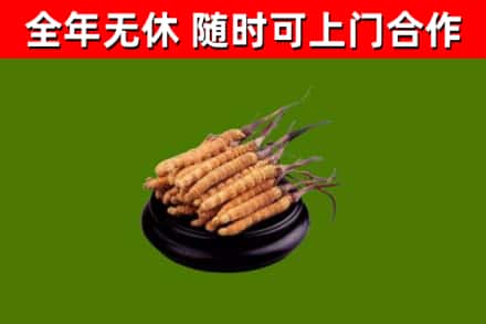 香格里拉市烟酒回收冬虫夏草.jpg